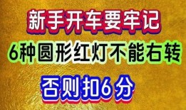 独家爆料网免费入口,免费入口带你畅游爆料网世界